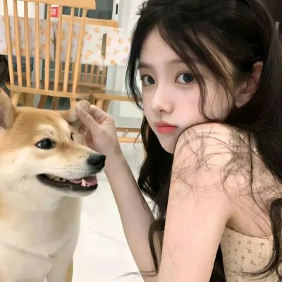 状王之王国语